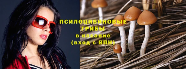 ГАЛЛЮЦИНОГЕННЫЕ ГРИБЫ Абинск