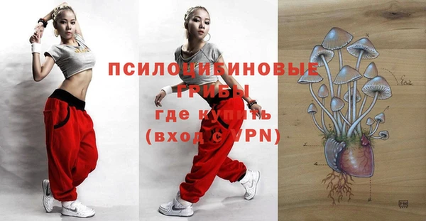 ГАЛЛЮЦИНОГЕННЫЕ ГРИБЫ Абинск