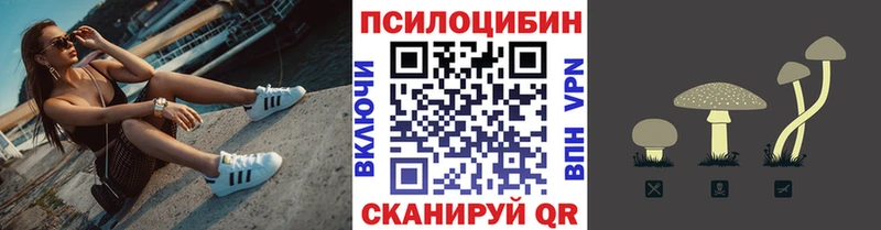 где найти наркотики Балаково Галлюциногенные грибы ЛСД